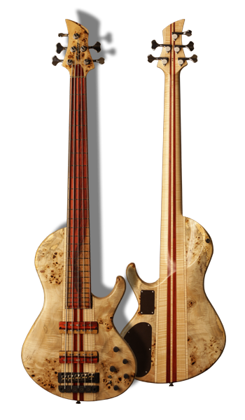 Singlecut Bass - Back view