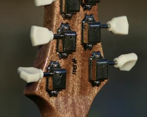 Single Cut Standard - Image 19