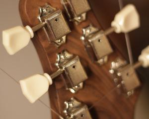 Single Cut Rosewood - Image 1