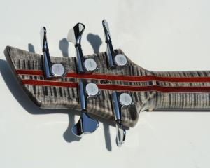 Neckthrough - Image 8