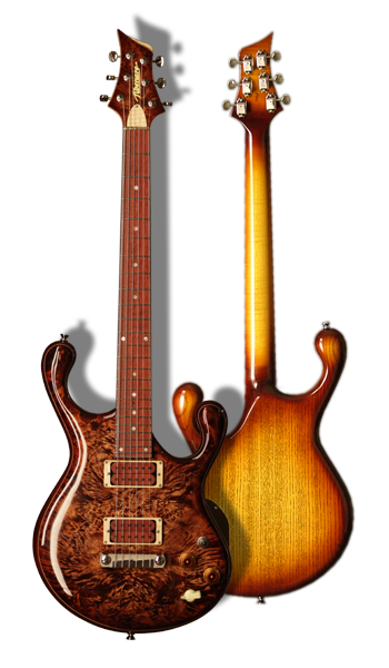 Dalmat - Front view